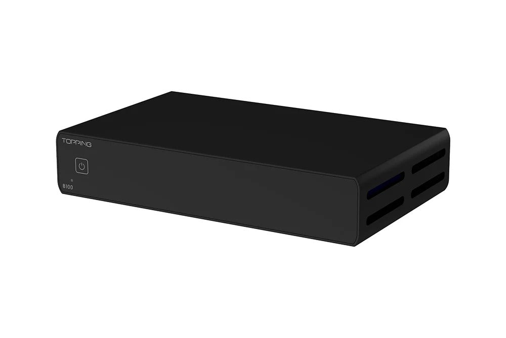 topping b100 speaker amplifier rear panel view