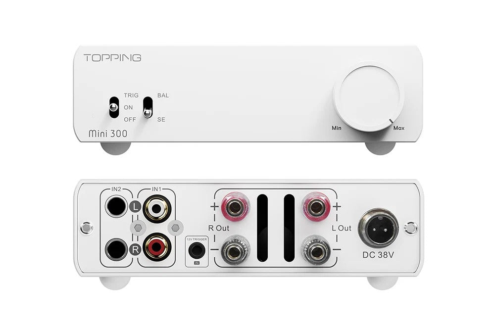 topping mini 300 power amplifier rear panel view